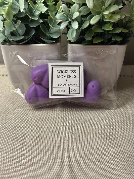 Sea Salt & Agave Soy Wax Heart Melt 5 ct.